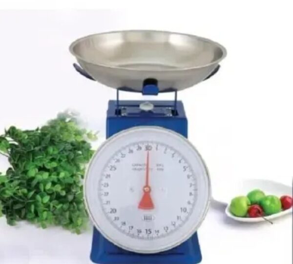 30kg scale